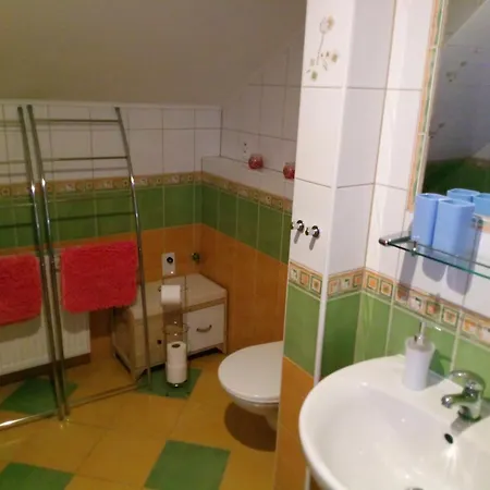 Villa Alexandra Karlovy Vary