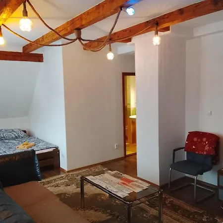 Villa Alexandra Karlovy Vary