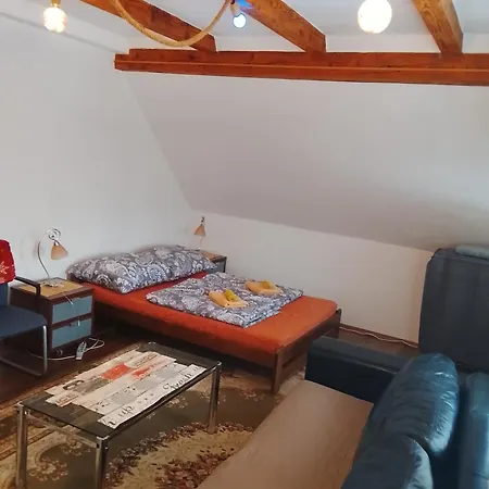 Villa Alexandra Karlovy Vary